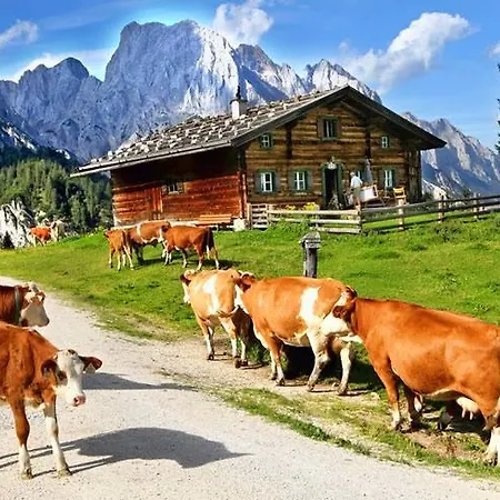 Haus Hohenwarter בית הארחה