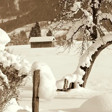 Haus Hohenwarter *