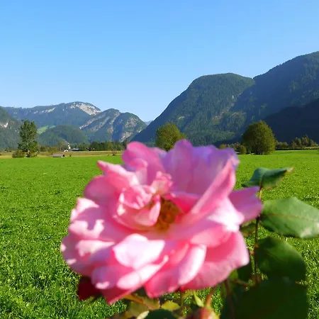 Pensión Haus Hohenwarter *