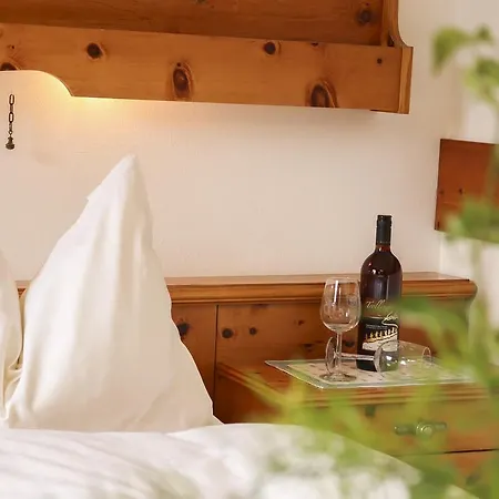 Haus Hohenwarter Guest house *